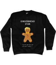 Load image into Gallery viewer, Gingerbread Stan, Eminem - Jumper - Unisex