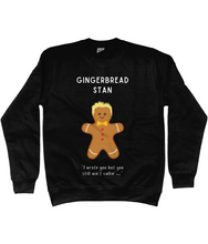 Load image into Gallery viewer, Gingerbread Stan, Eminem - Jumper - Unisex
