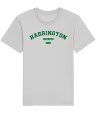 Load image into Gallery viewer, Steve Harrington Hawkins 1983 - T-shirt - Unisex
